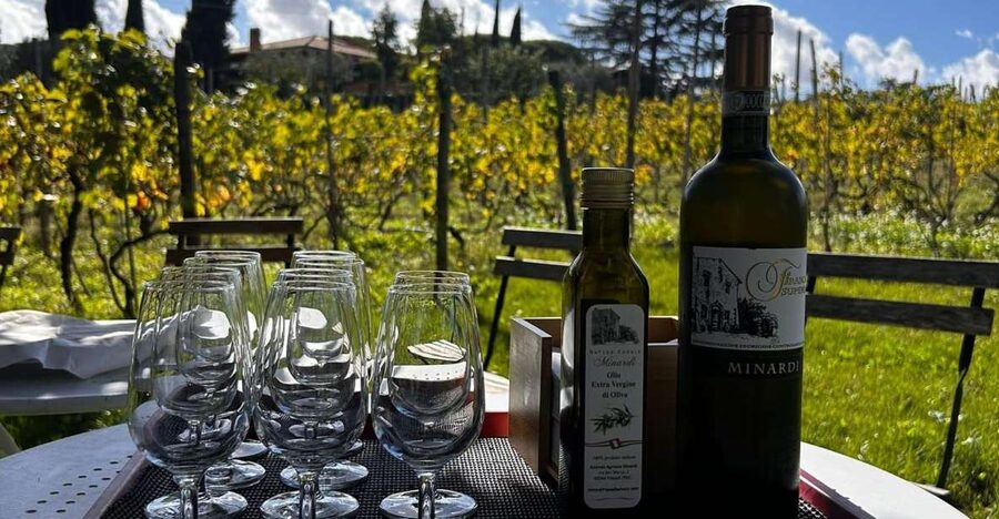 From Rome: Half-Day Frascati Wine Tour with Farmhouse Lunch - Key highlights that make this Frascati day work