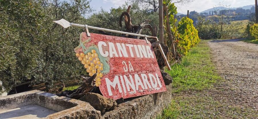 From Rome: Half-Day Frascati Wine Tour with Farmhouse Lunch - The family farmhouse in Frascati valleys: vineyards, old cellar, and EVO oil