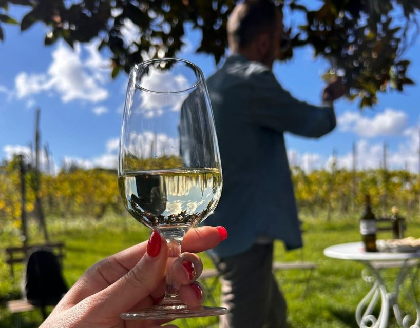 From Rome: Half-Day Frascati Wine Tour with Farmhouse Lunch - Price and value: what $99 includes, and what to budget for