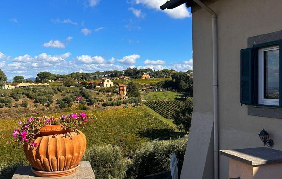 From Rome: Half-Day Frascati Wine Tour with Farmhouse Lunch - Who this tour fits best, and who should consider another plan