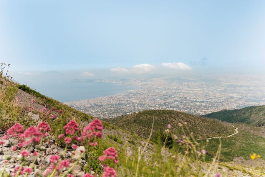 From Rome: Pompeii Day Trip with Optional Vesuvius and Lunch - The bus ride from Rome: comfortable, efficient, and worth planning for