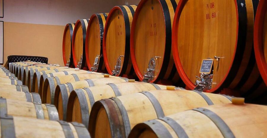 From Siena: Brunello di Montalcino Guided Wine Tour W/ Lunch - Vineyard walk and first cellars: where the day turns from views into understanding