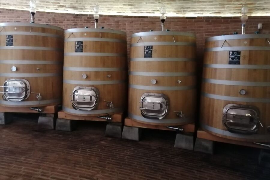 From Siena: Brunello di Montalcino Guided Wine Tour W/ Lunch - Montalcino’s fortress views and the real town vibe
