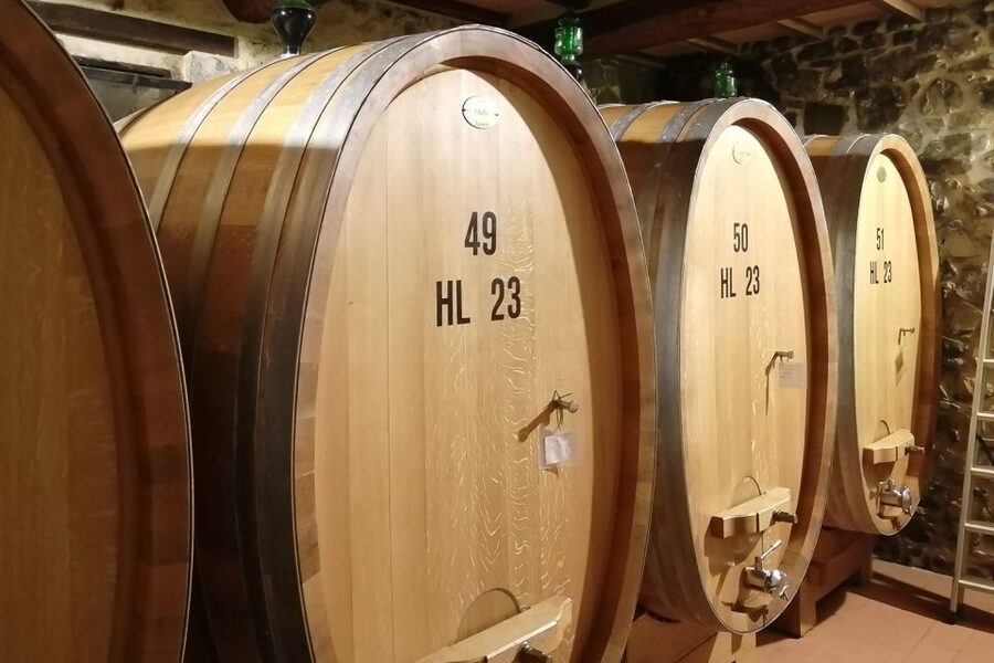 From Siena: Brunello di Montalcino Guided Wine Tour W/ Lunch - Lunch at a family-run winery: food that actually matters