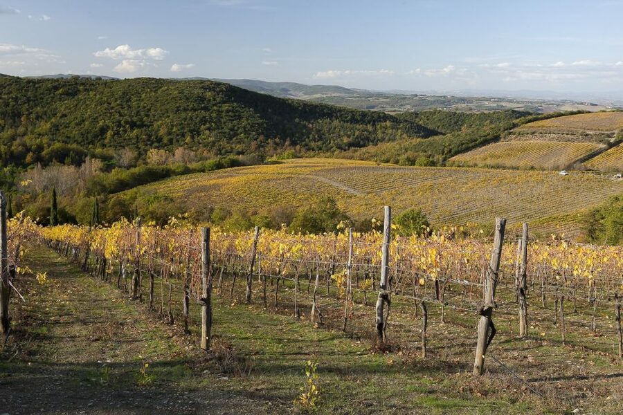 From Siena: Brunello di Montalcino Guided Wine Tour W/ Lunch - How the day pace feels, and what to bring