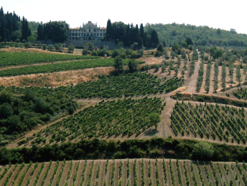From Siena: Chianti and Castles Tour with Wine Tastings - Key points worth knowing