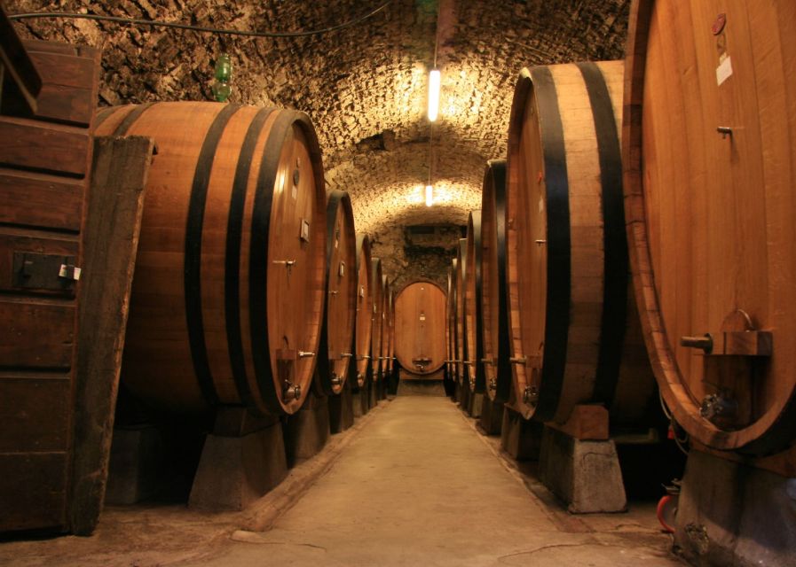 From Siena: Chianti and Castles Tour with Wine Tastings - Who should book, and who should skip it