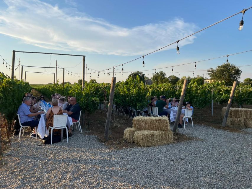 From Siena: Chianti and Castles Tour with Wine Tastings - Getting started in Siena at Hotel Minerva