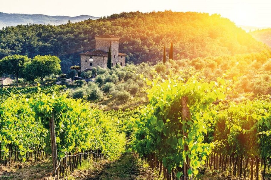From Siena: Chianti and Castles Tour with Wine Tastings - Two winery stops in Chianti: tasting enough to compare styles