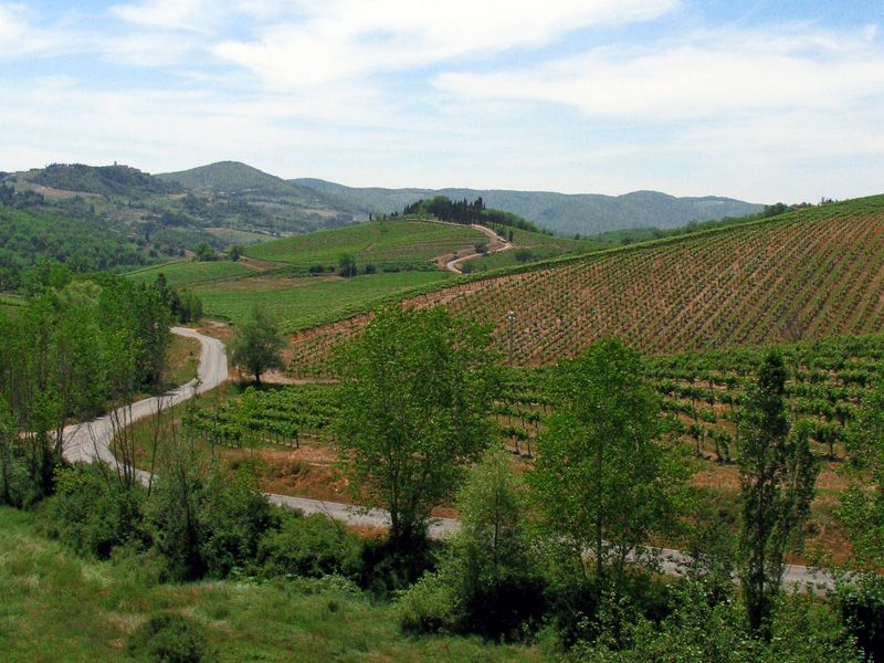 From Siena: Chianti and Castles Tour with Wine Tastings - What you are actually drinking in Chianti, and how to taste it