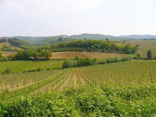 From Siena: Chianti and Castles Tour with Wine Tastings - Price and value: is $100 fair for this package?
