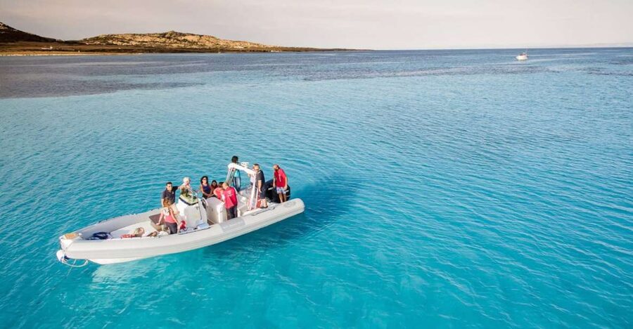 From Stintino: Half-day dinghy tour in Asinara Gulf - Key highlights to know before you go