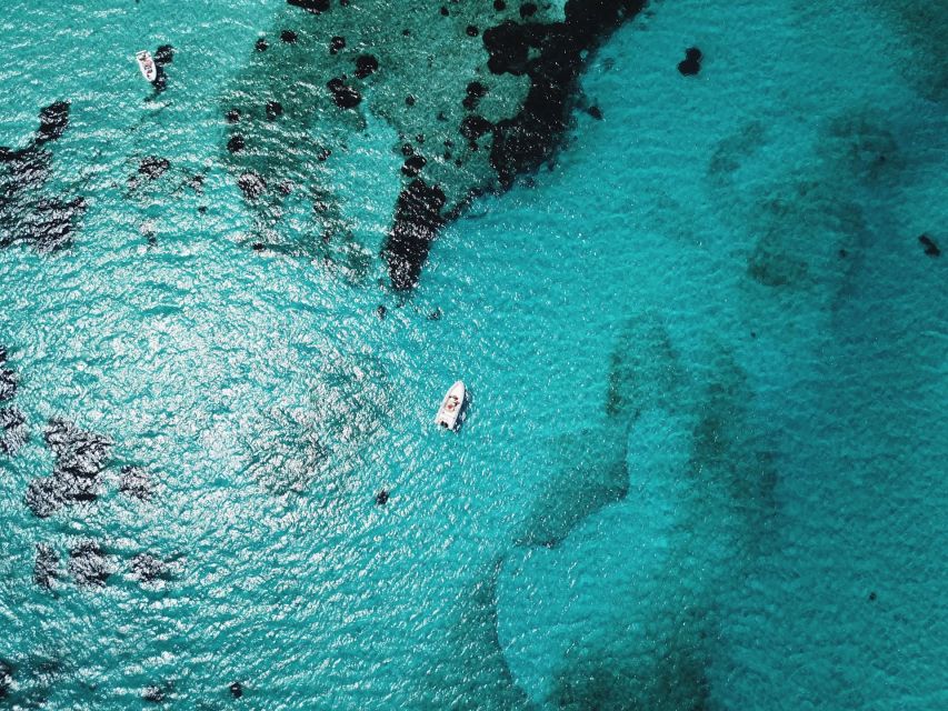 From Stintino: Half-day dinghy tour in Asinara Gulf - Who should book this tour, and who should choose something else