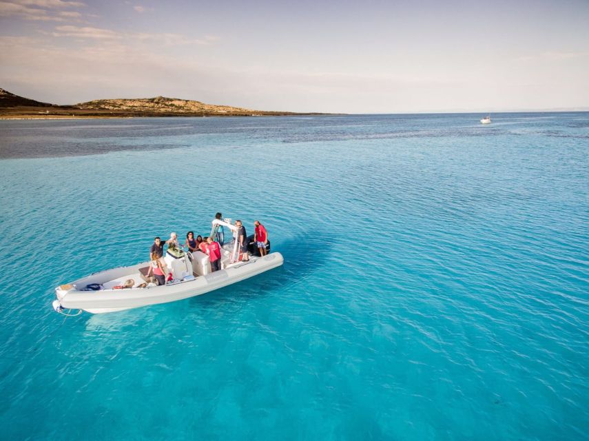 From Stintino: Half-day dinghy tour in Asinara Gulf - How the skipper picks your coves, and what each stop is like
