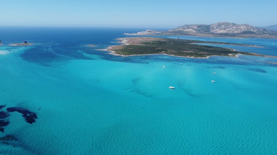 From Stintino: Half-day dinghy tour in Asinara Gulf - On board Wild Asinara: what the 3 hours feels like