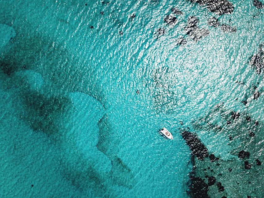 From Stintino: Half-day dinghy tour in Asinara Gulf - What to bring, and what to skip