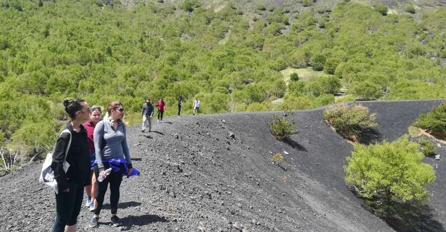 From Taormina: Half-Day Mount Etna Morning Trek - A practical, Sicily-style way to see Mount Etna’s “why”