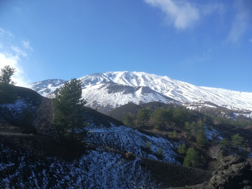 From Taormina: Half-Day Mount Etna Morning Trek - Craters at around 2,000 meters: what you actually hike