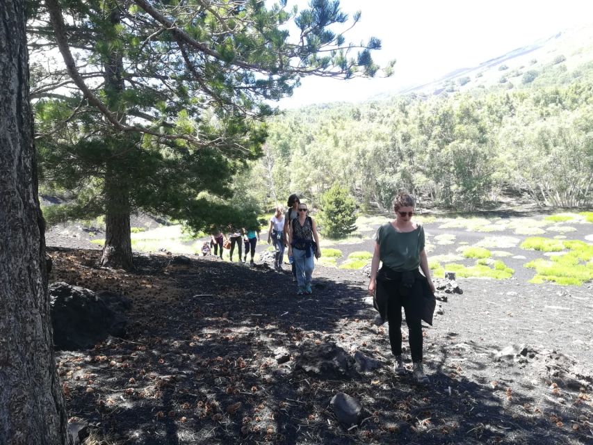 From Taormina: Half-Day Mount Etna Morning Trek - How the lava cave changes the story underground