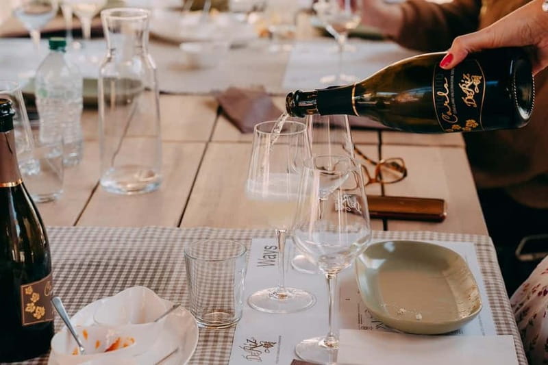 From Venice: Prosecco Hills and Wine Tasting Tour - What you are really tasting: Prosecco DOCG in plain language