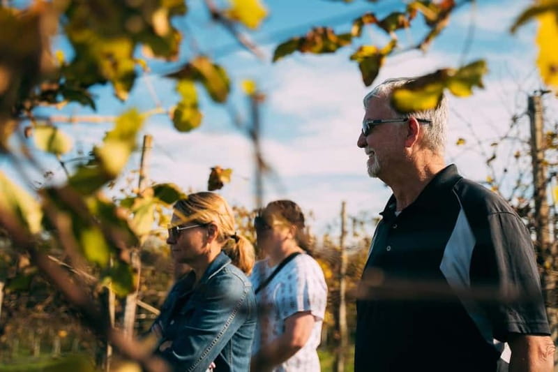 From Venice: Prosecco Hills and Wine Tasting Tour - Getting the most out of the drive and photos