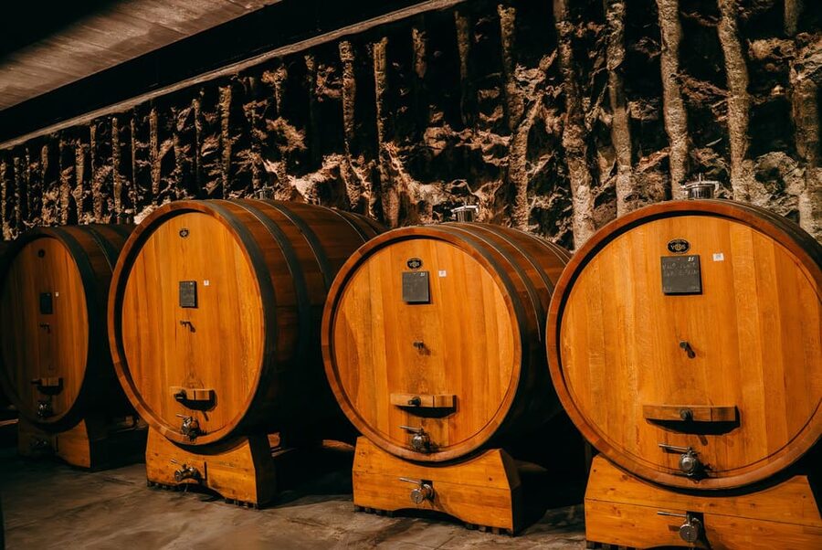 From Verona: Valpolicella and Amarone Wine Tasting Tour - The ride out in an air-conditioned minivan: comfort that actually matters