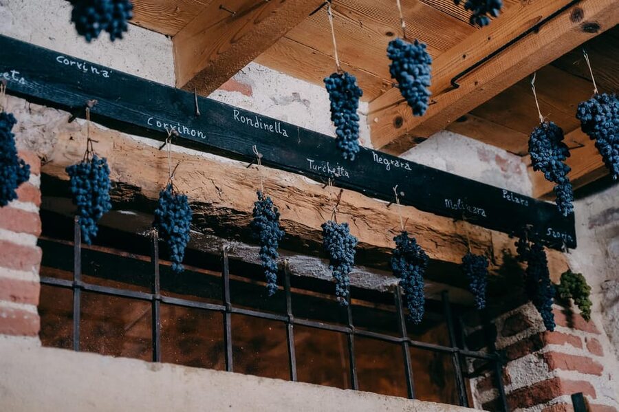 From Verona: Valpolicella and Amarone Wine Tasting Tour - Between wineries: quick breaks and photo moments in the vineyards