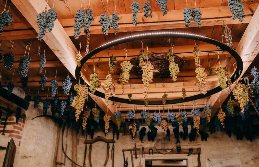 From Verona: Valpolicella and Amarone Wine Tasting Tour - Stop 2: a second cellar experience with a different production feel