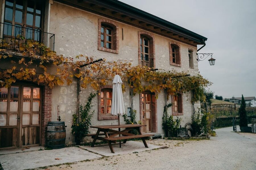 From Verona: Valpolicella and Amarone Wine Tasting Tour - Amarone education: what you should listen for during the tastings