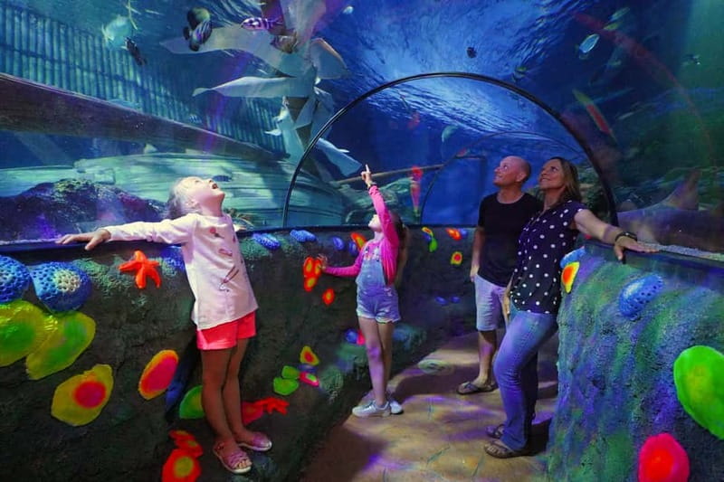 Gardaland SEA LIFE Aquarium: Open Date Entry Ticket - Key Things I’d Prioritize