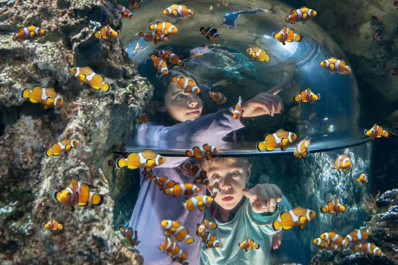 Gardaland SEA LIFE Aquarium: Open Date Entry Ticket - Where Gardaland SEA LIFE Aquarium Fits In Your Lake Garda Day