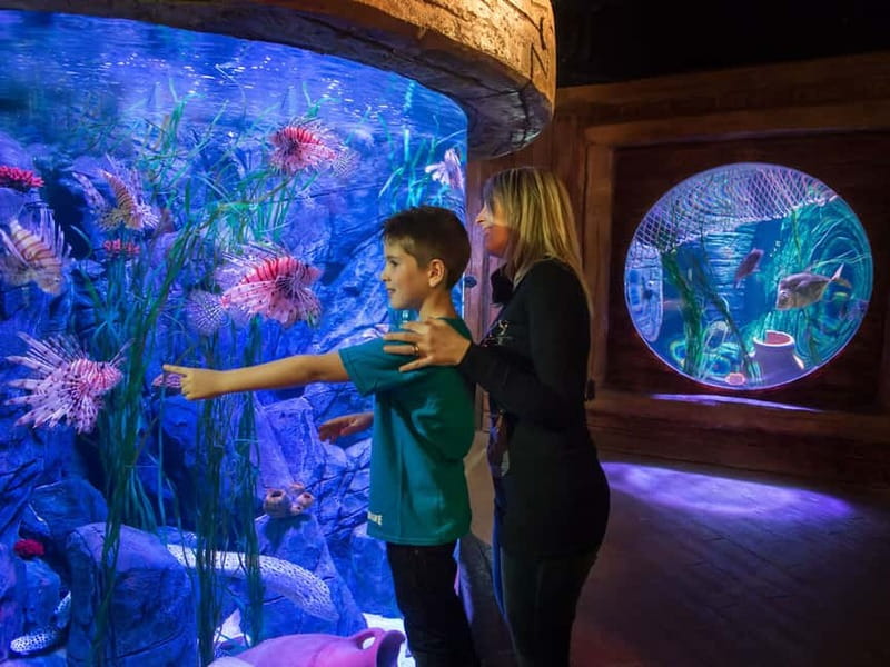 Gardaland SEA LIFE Aquarium: Open Date Entry Ticket - Food and Snack Strategy at Covo del Capitano