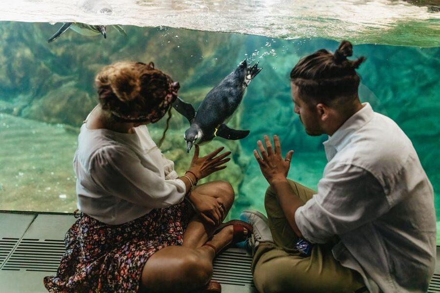 Genoa: Aquarium of Genoa Entry Ticket - Food strategy: focaccia tasting and quick meal options that won’t derail your day