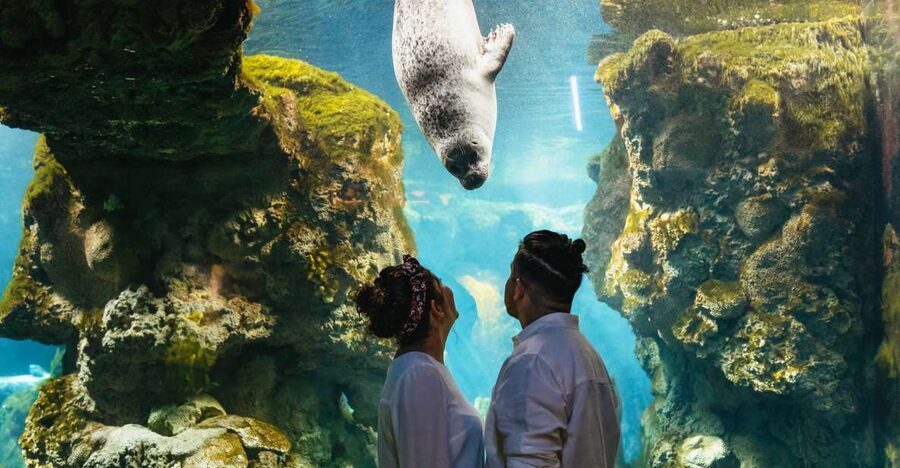 Genoa: Aquarium of Genoa Entry Ticket - Price and value: is it worth $35?