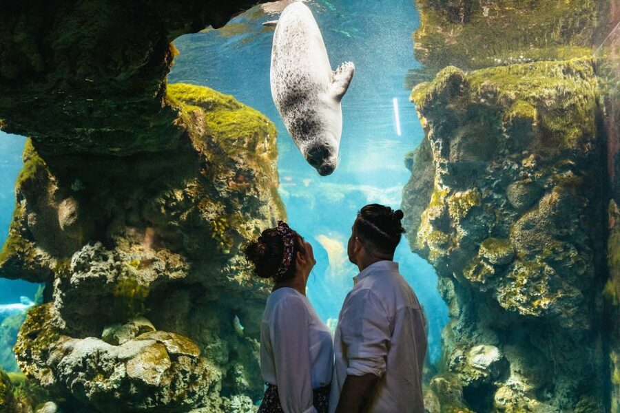 Genoa: Aquarium of Genoa Entry Ticket - Who should book this Genoa Aquarium entry ticket