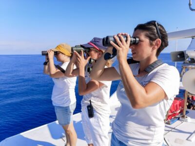 Cetacean Watching Cruise with Marine Biologist Guide