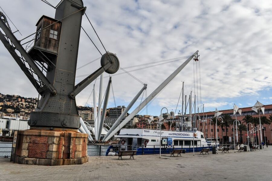 Genoa: Full-Day Tour to Camogli, San Fruttuoso & Portofino - Portofino: what to do with limited time when the harbor is packed
