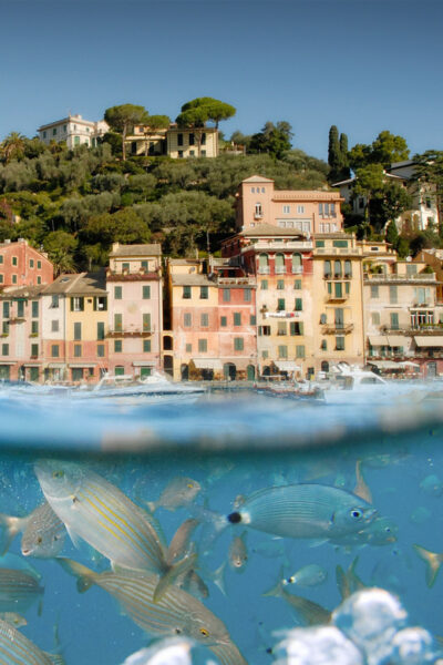 Half-Day Tour to Portofino