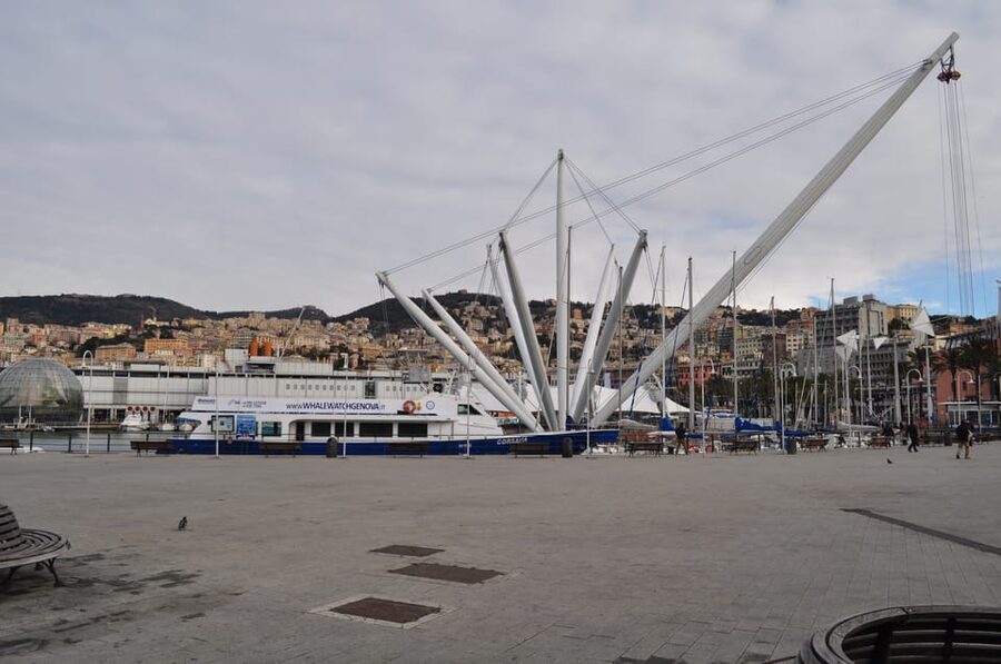 Genoa: Half-Day Tour to Portofino - Price and value: paying for the sea time, not for a lecture