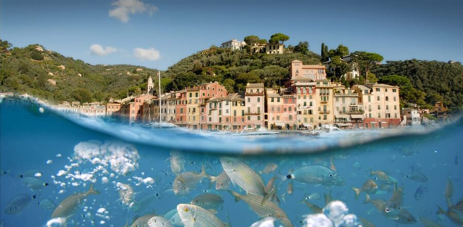 Genoa: Half-Day Tour to Portofino - Who should book this Genoa to Portofino half-day ferry