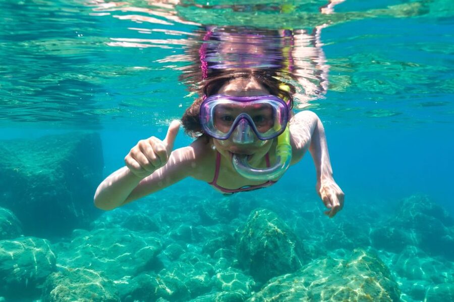 Golfo Aranci: Dolphin Watching and Snorkeling Boat Tour - Key Things I’d Prioritize on This Tour