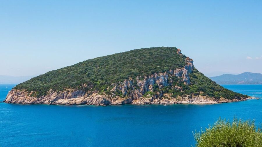 Golfo Aranci: Dolphin Watching and Snorkeling Boat Tour - Before You Board: DST Sardegna Meeting Point and Timing
