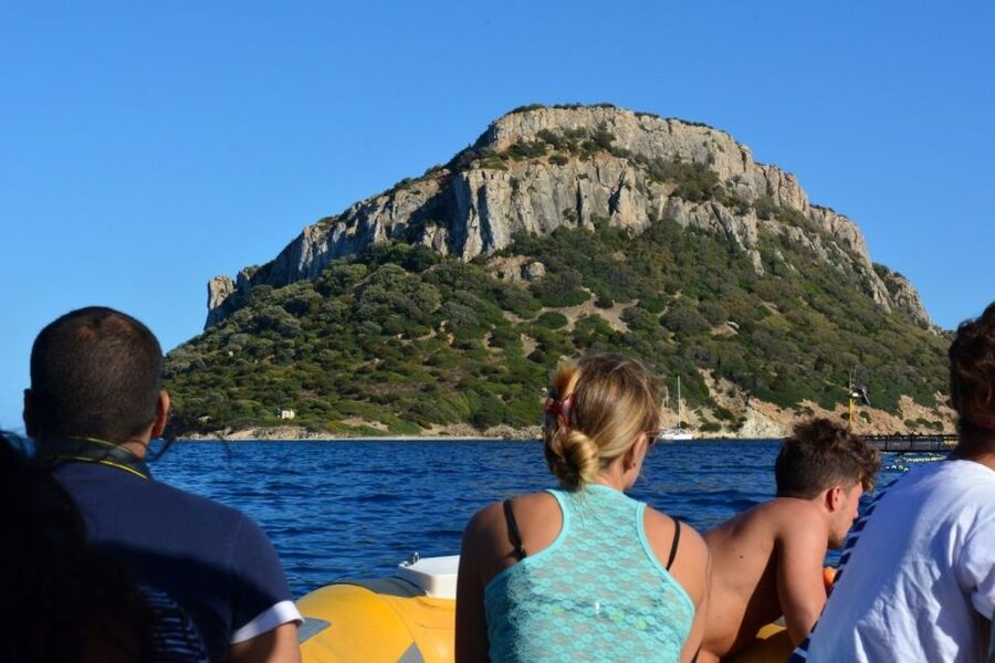 Golfo Aranci: Eco-Friendly Dolphin Watching Boat Trip - Key points that make this trip worth your time