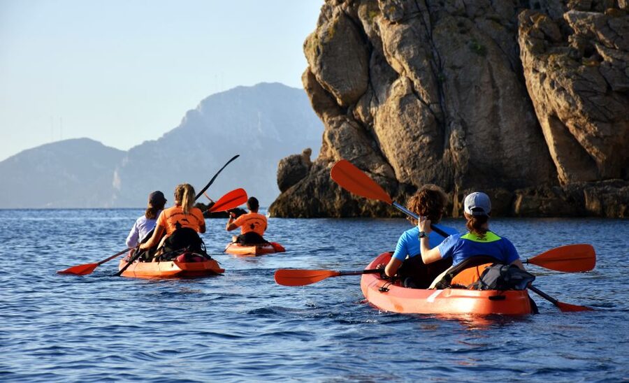 Golfo Aranci: Kayak Tour with Dolphins and Aperitif - Golfo Aranci Kayak Dolphin Tour, Price and Time That Feel Fair