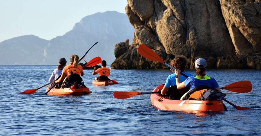Golfo Aranci: Kayak Tour with Dolphins and Aperitif - Safety and the Kayak Lesson, Before You Chase Dolphins
