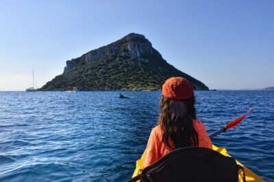 Golfo Aranci: Kayak Tour with Dolphins and Aperitif