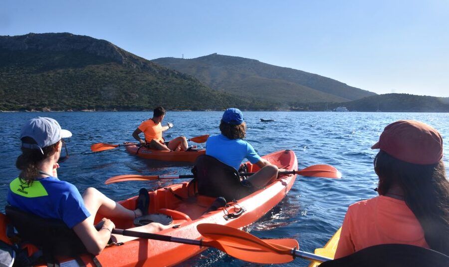 Golfo Aranci: Kayak Tour with Dolphins and Aperitif - Cala Moresca Snorkeling Stop, Where You Look and Learn