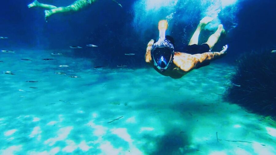 Golfo Aranci: Kayak Tour with Dolphins and Aperitif - Fish Farm Area and Dolphin Watching, What Makes It More Than a Pretty Swim