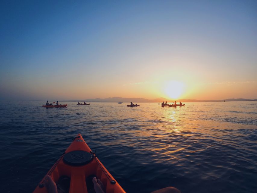 Golfo Aranci: Kayak Tour with Dolphins and Aperitif - Marine Life Beyond Dolphins, With Help From Guides Like Marco and Emmanuel