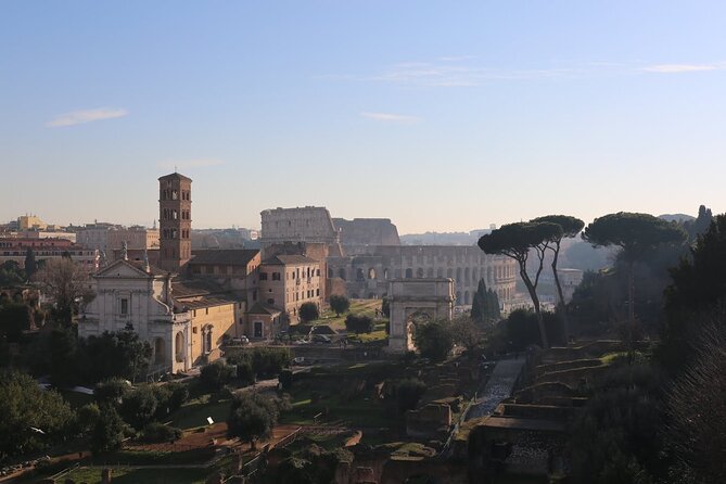 Guided Tour of the Colosseum, Forum and Palatine Hill - Who this tour suits, and who should consider a different plan